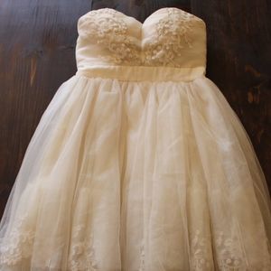 Daisy Shoppe // Strapless Tulle Dress